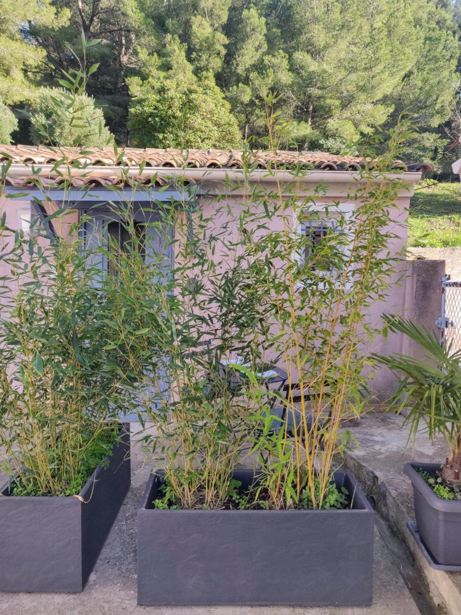 La Nina - A 5 Min De Cassis Apartamento Roquefort-la-Bédoule Exterior foto